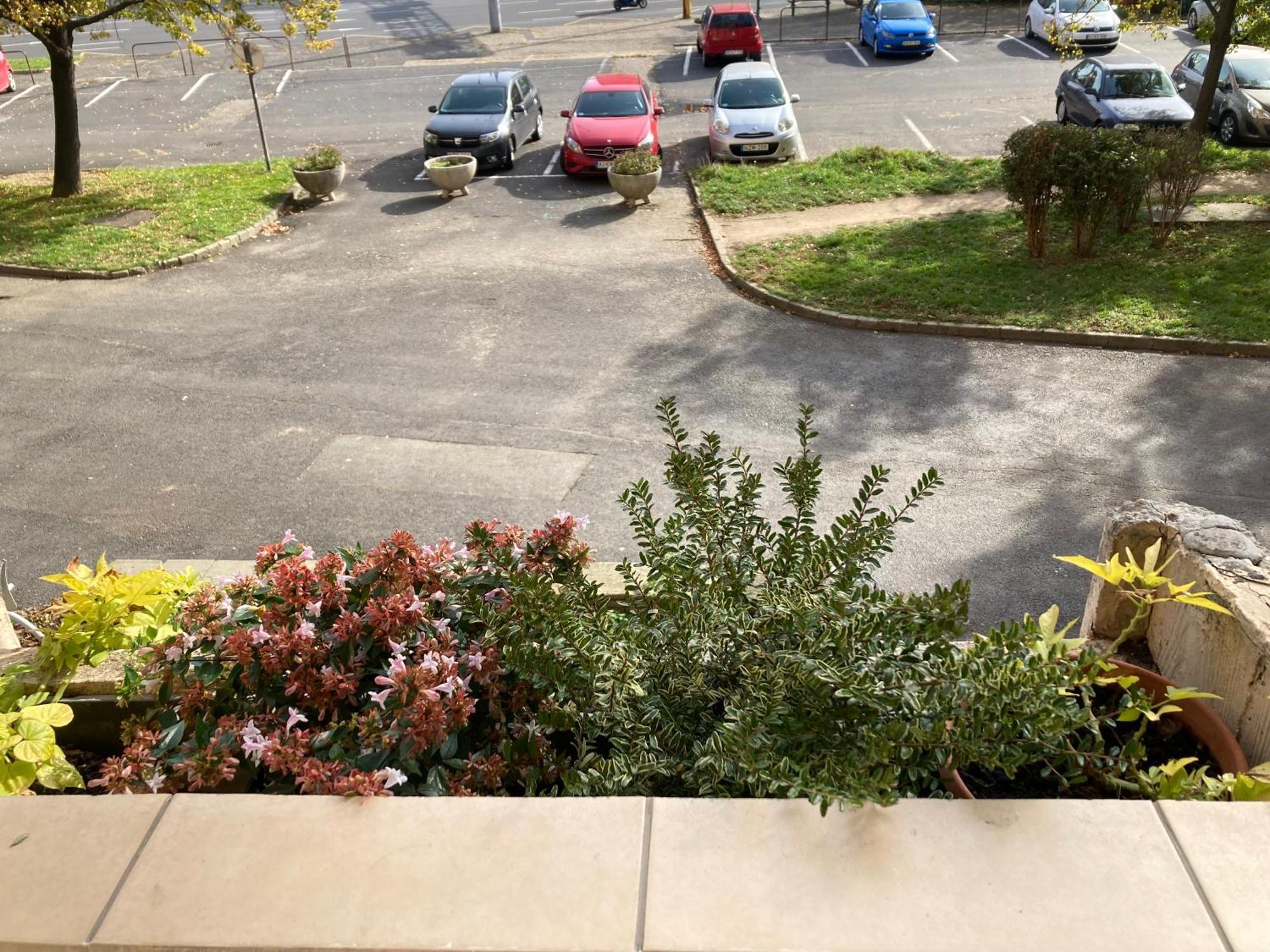 Belvarosi Classic Apartman 85 Square Meters Szombathely Dış mekan fotoğraf